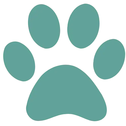 Paw Print Illustration